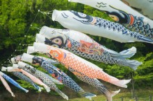 鯉のぼり いつから いつまで