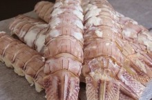 シャコ 食べ方