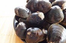 しじみ 栄養 効果 効能