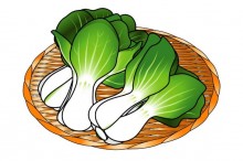 チンゲン菜 保存