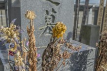 お墓 掃除 仕方
