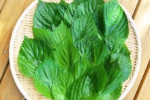 エゴマ 栄養 効能