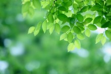 2016年 立夏