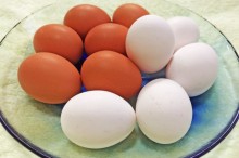 卵 食べ過ぎ