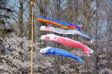 鯉のぼり 洗濯