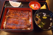 うなぎ 肝 栄養