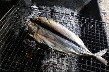 臭い食べ物 ランキング