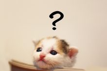 猫アレルギー 検査