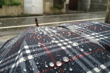 秋の長雨 意味