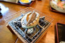 あわび 栄養 効果 効能