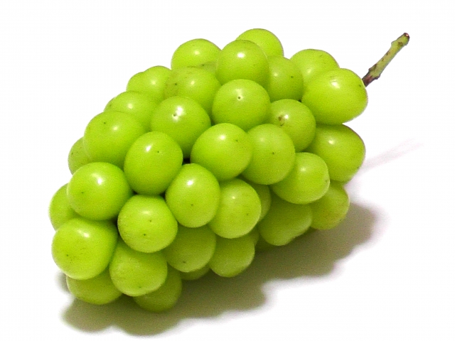 ぶどう 種類 種なし 皮ごと